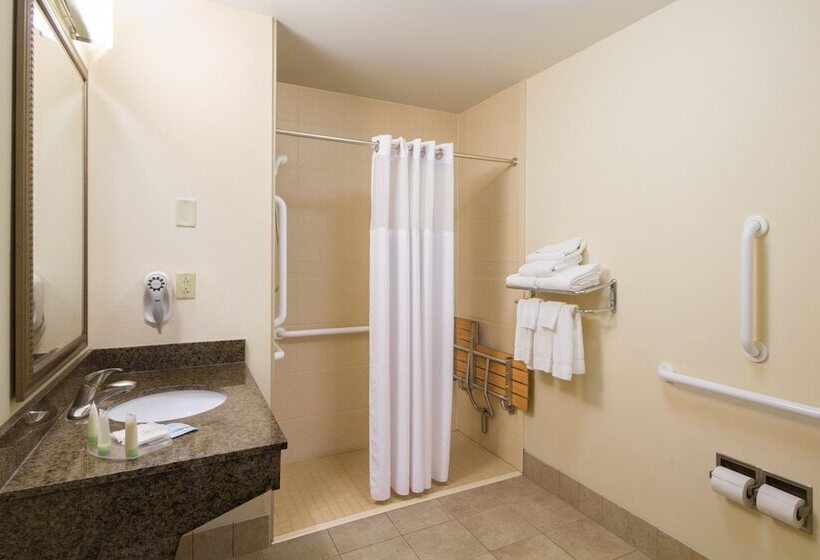 Люкс Адаптированный для Инвалидов, Staybridge Suites Buffalo, An Ihg