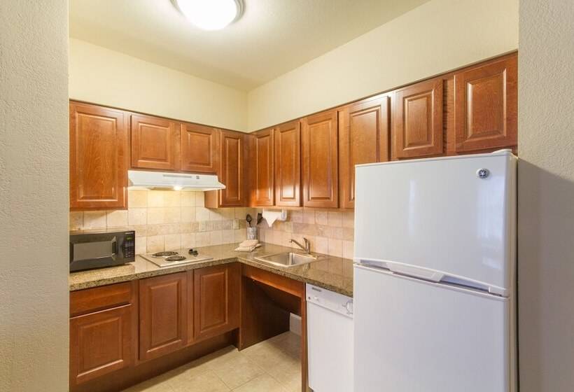 جناح لذوى الاحتياجات الخاصة, Staybridge Suites Buffalo, An Ihg