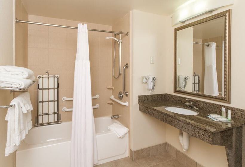 جناح لذوى الاحتياجات الخاصة, Staybridge Suites Buffalo, An Ihg