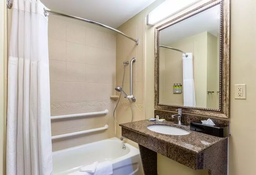 身障者適用スイートルーム, Staybridge Suites Davenport, An Ihg