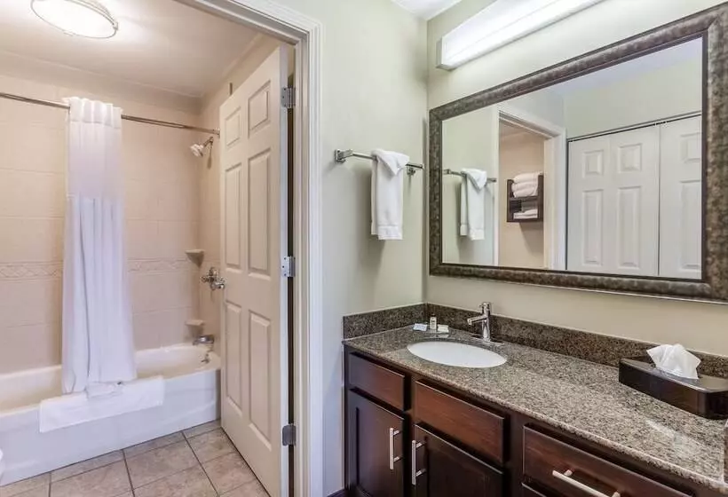 ２ベッドスイートルーム, Staybridge Suites Davenport, An Ihg