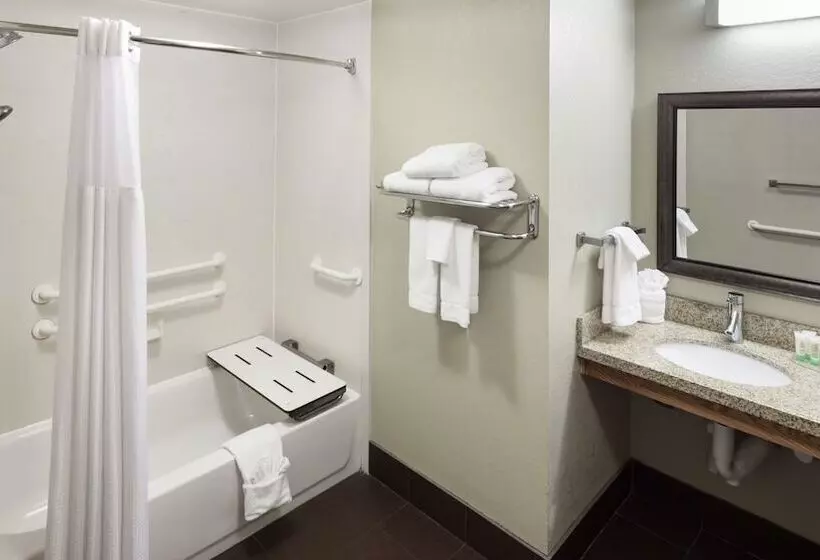 ２ベッドスイートルーム, Staybridge Suites Jackson, An Ihg