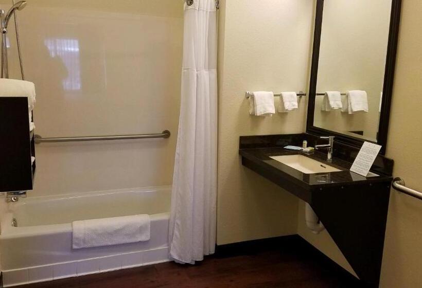 带大床的标准间, Staybridge Suites Sioux Falls At Empire Mall, An Ihg