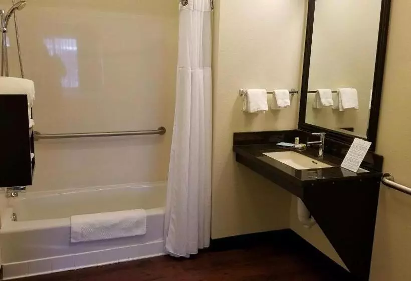 اتاق استاندارد با تخت بزرگ, Staybridge Suites Sioux Falls At Empire Mall, An Ihg