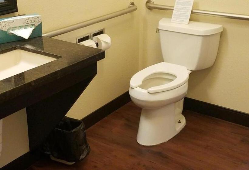 带大床的标准间, Staybridge Suites Sioux Falls At Empire Mall, An Ihg