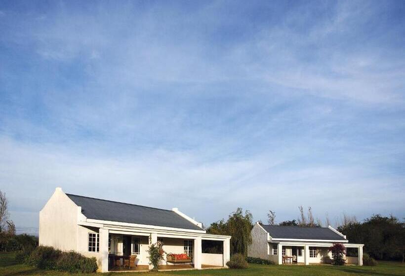 Хижина, Elephant House