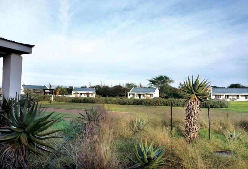 Хижина, Elephant House