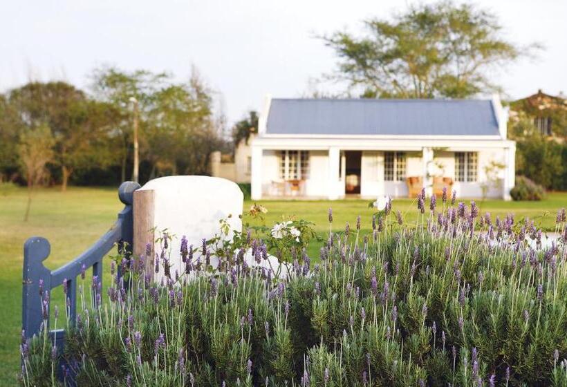 Хижина, Elephant House