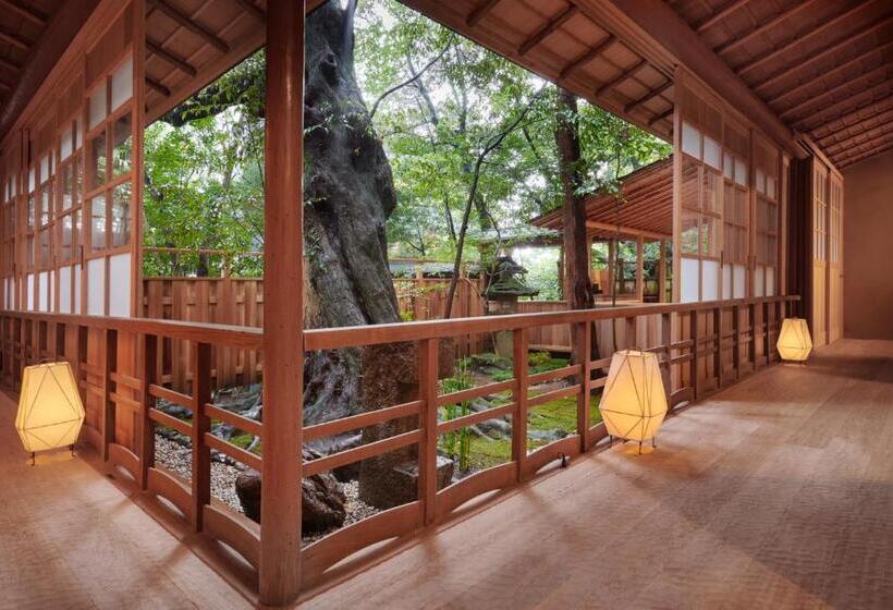 سوئیت پرزیدنت, Araya Totoan