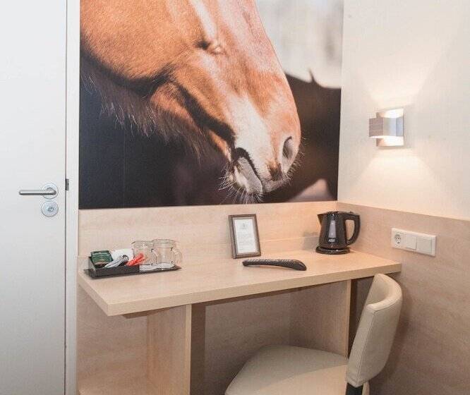 غرفة أساسية, Iron Horse Amsterdam