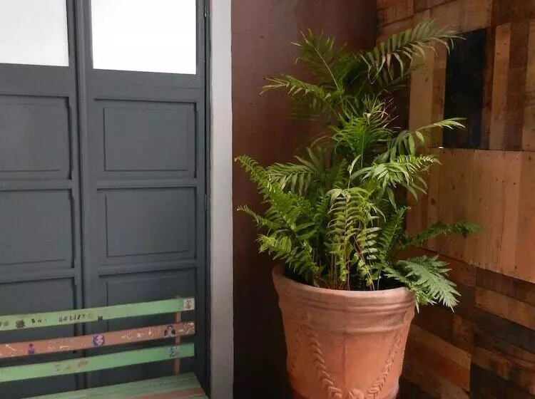 سوییت جونیور, La Casa Del Atrio