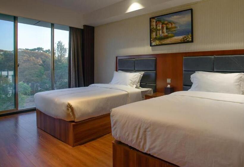 经济房, Swiss Lenana Mount