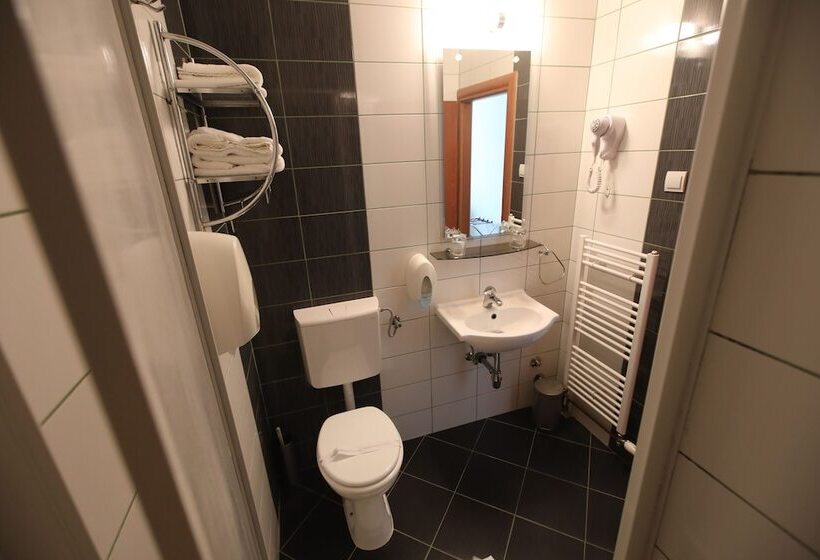 スタンダードシングルルーム, Zagi