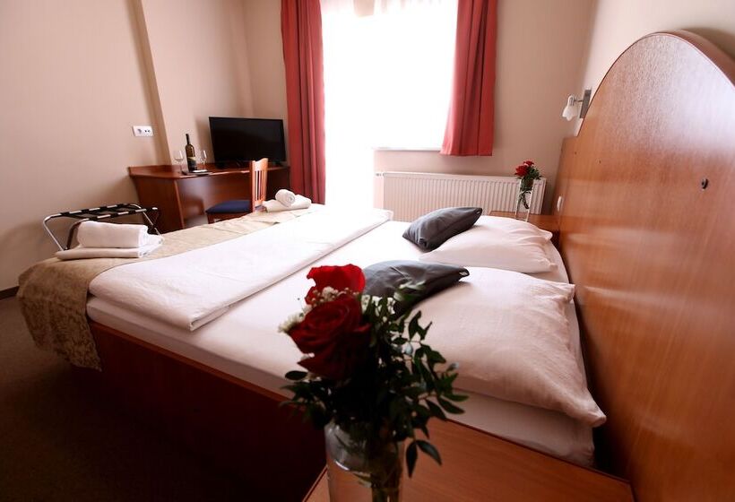 スタンダードルーム, Zagi