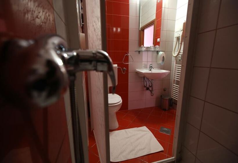 スタンダードルーム, Zagi