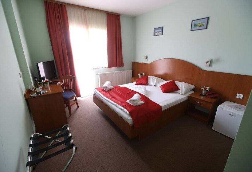 スタンダードルーム, Zagi