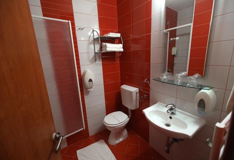 スタンダードトリプルルーム, Zagi