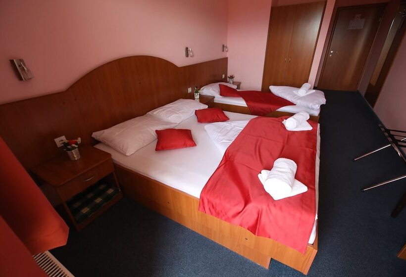 スタンダードトリプルルーム, Zagi