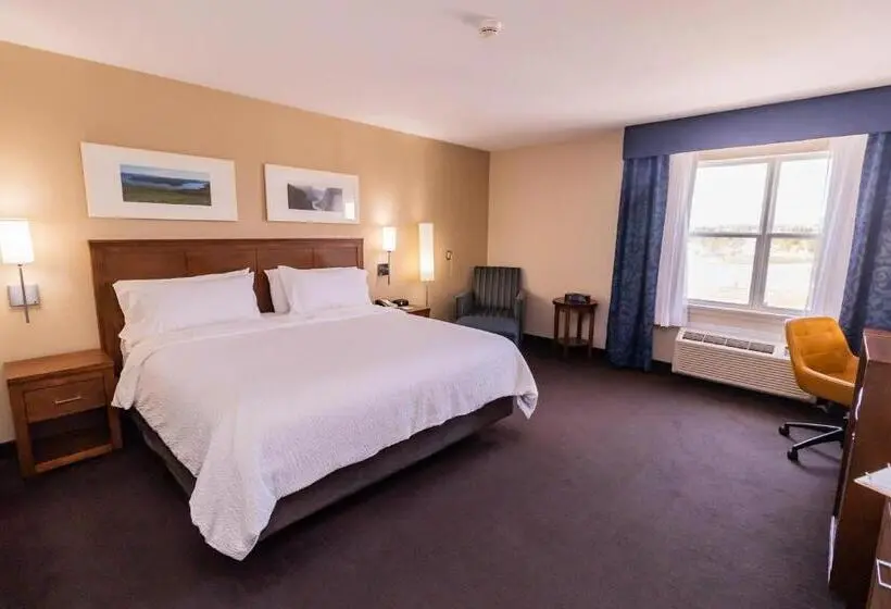 身障者適用キングサイズベッドルーム, Deer Lake Horizon Hotel Bw Signature Collection