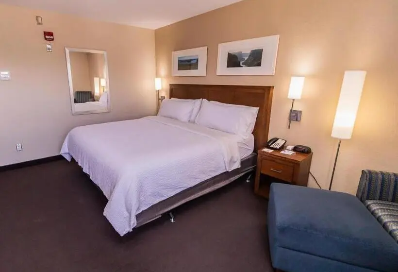 身障者適用キングサイズベッドルーム, Deer Lake Horizon Hotel Bw Signature Collection