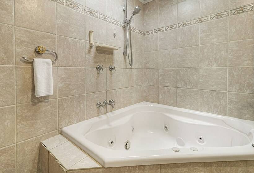 شقة ديلوكس غرفتين نوم, Alzburg Resort