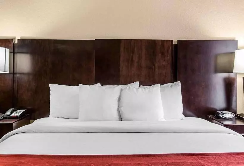 スイート, Comfort Suites