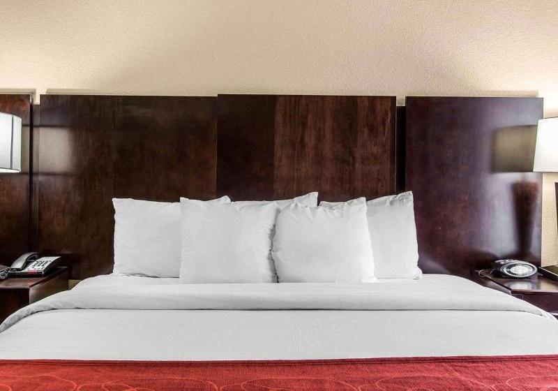 キングサイズベッドのスイートルーム, Comfort Suites