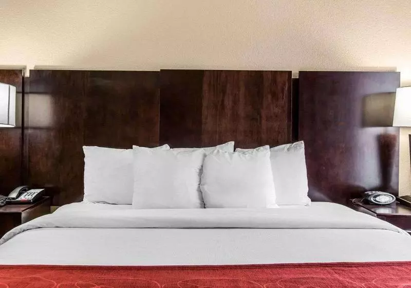 キングサイズベッドのスイートルーム, Comfort Suites