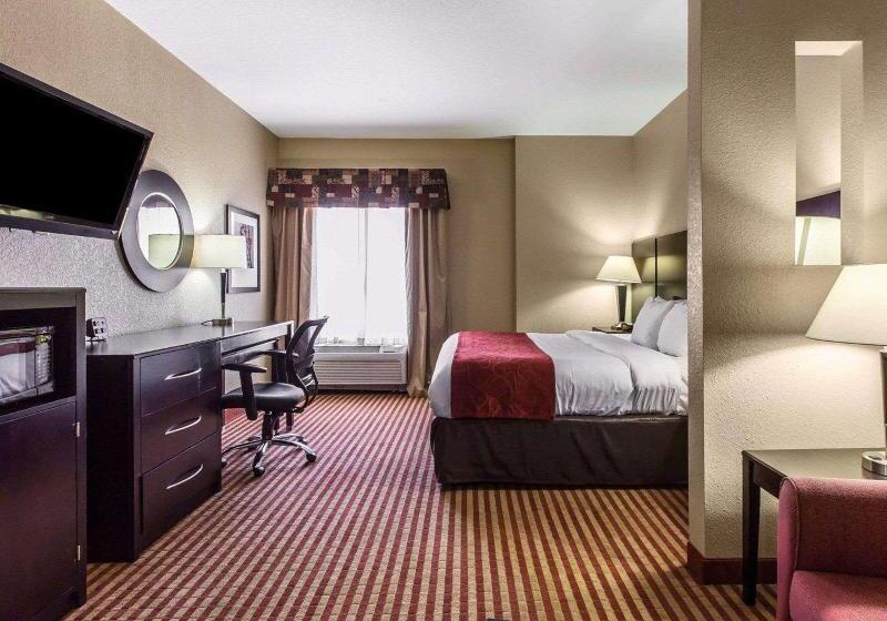 キングサイズベッドのスイートルーム, Comfort Suites