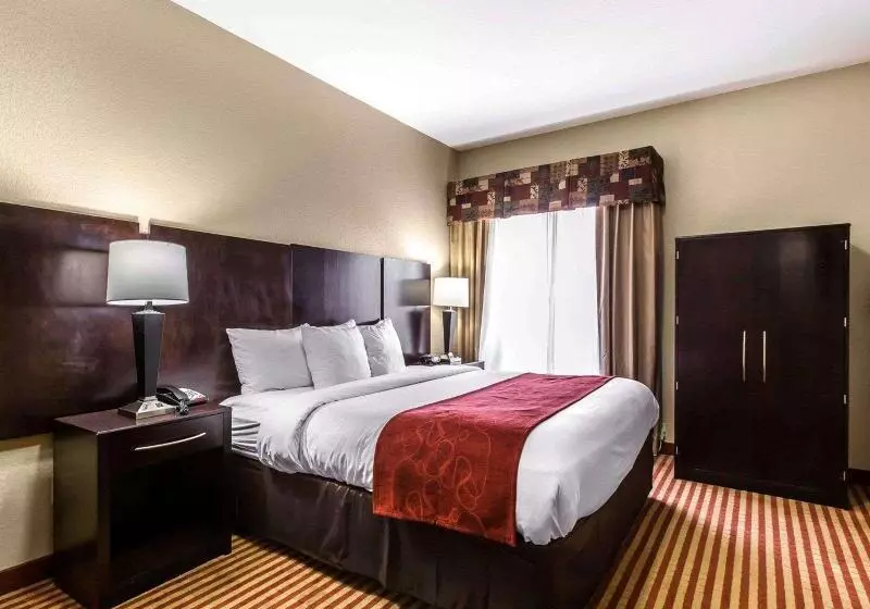 キングサイズベッドのスイートルーム, Comfort Suites