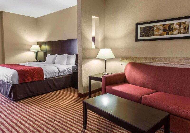 キングサイズベッドのスイートルーム, Comfort Suites