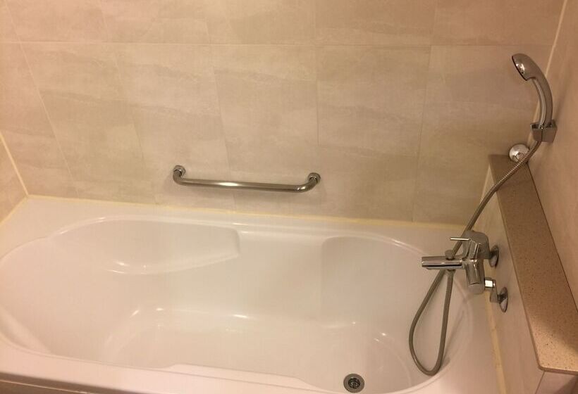 اتاق استاندارد با تخت دوبل, Danyang Tourist Hotel Edelweiss