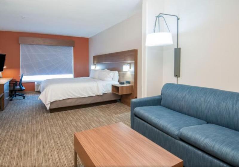 스탠다드 룸, Fairfield Inn & Suites By Marriott Denver Aurora/parker