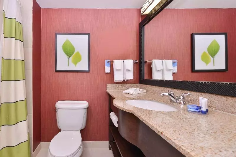キングサイズベッドのスタンダードルーム, Fairfield Inn & Suites By Marriott Denver Aurora/parker