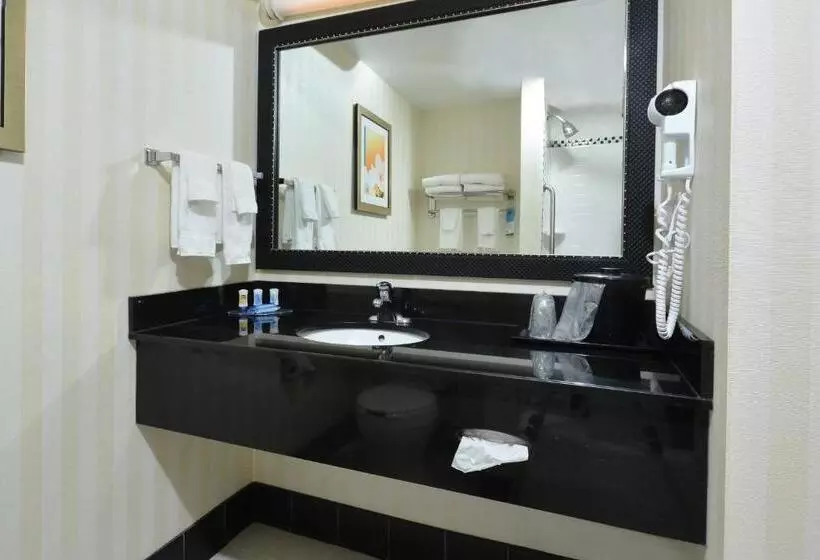 身障者適用スタンダードルーム, Fairfield Inn & Suites Wytheville