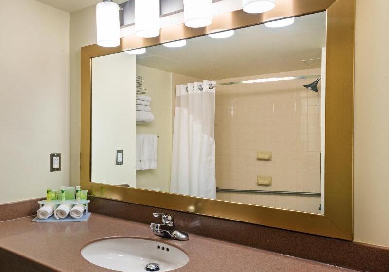 스탠다드 룸 킹사이즈 침대, Holiday Inn Express Deer Lake, An Ihg