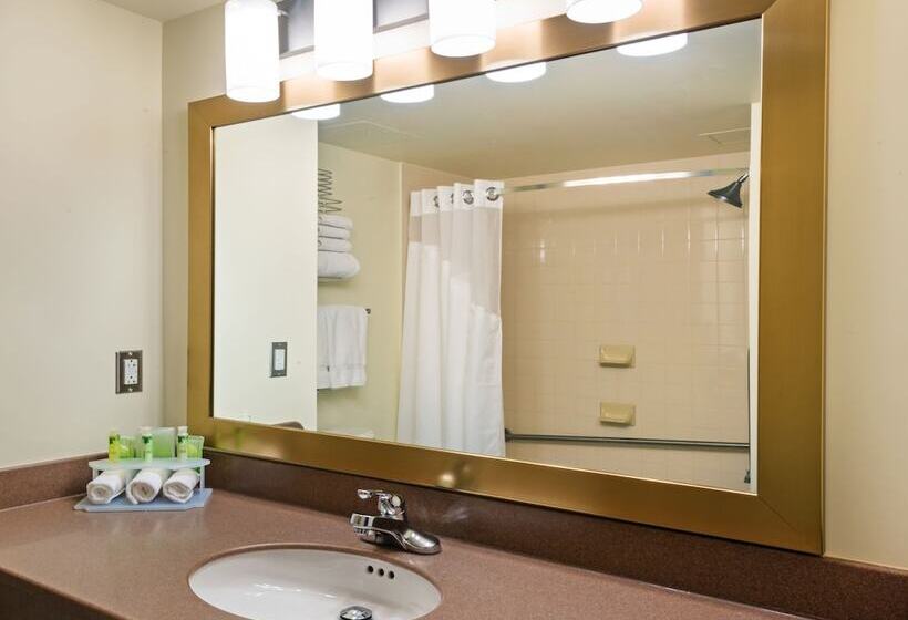 标准间, Holiday Inn Express Deer Lake, An Ihg