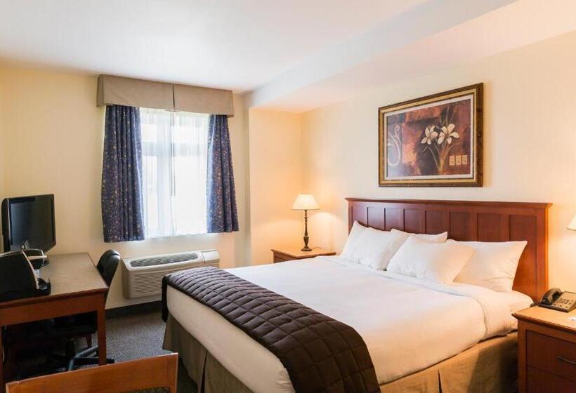 Номер Стандарт, Hôtel St Bernard