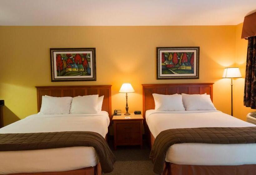 デラックスルーム, Hôtel St Bernard