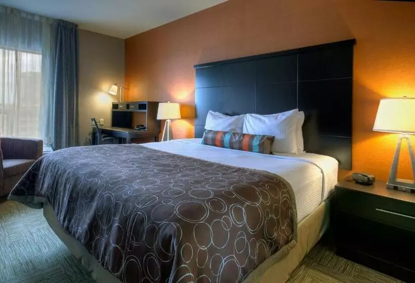 スタンダードスタジオ, Staybridge Suites Hamilton   Downtown, An Ihg