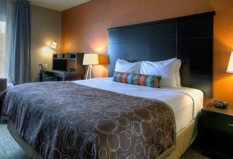استودیو استاندارد با تخت کینگ, Staybridge Suites Hamilton   Downtown, An Ihg