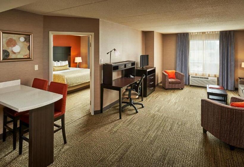 带大床的套房, Staybridge Suites Hamilton   Downtown, An Ihg