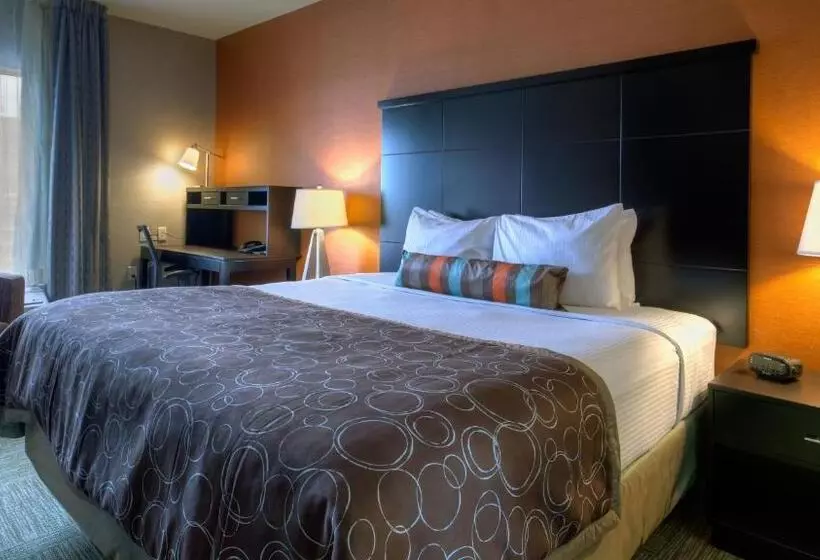 テラス付スイート, Staybridge Suites Hamilton   Downtown, An Ihg