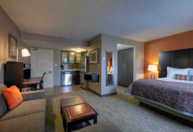 スタンダードスタジオ, Staybridge Suites Hamilton   Downtown, An Ihg