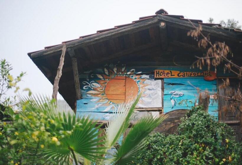 بانگلوی استاندارد, Kadir S Top Tree Houses