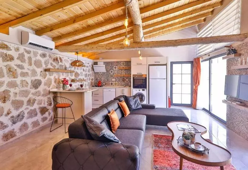ویلای یک اتاق خوابه با استخر شنا, Flower Hotel Patara