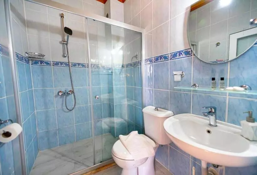 اتاق اکونومی, Flower Hotel Patara