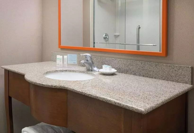 ダブルベッドスタンダードルーム, Hampton Inn Springfield South Enfield