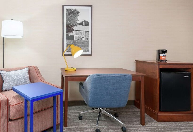 اتاق استاندارد با تخت دوبل, Hampton Inn Springfield South Enfield