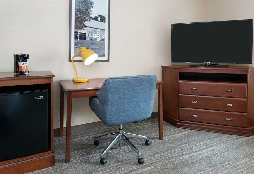 اتاق استاندارد با تخت دوبل, Hampton Inn Springfield South Enfield